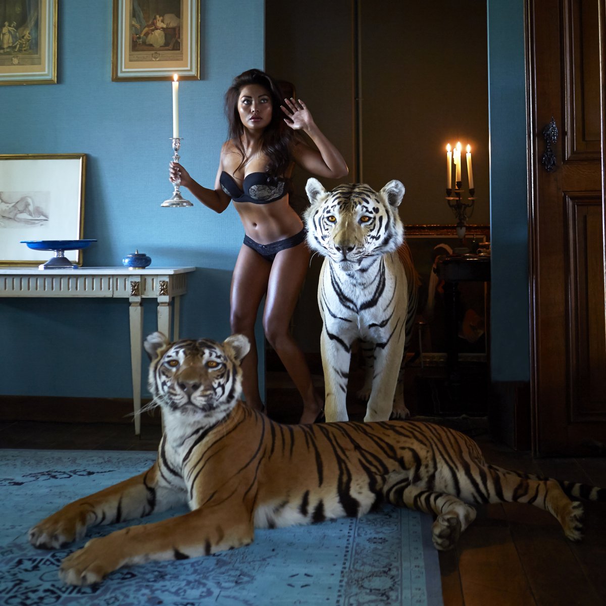 Tiger and tigress